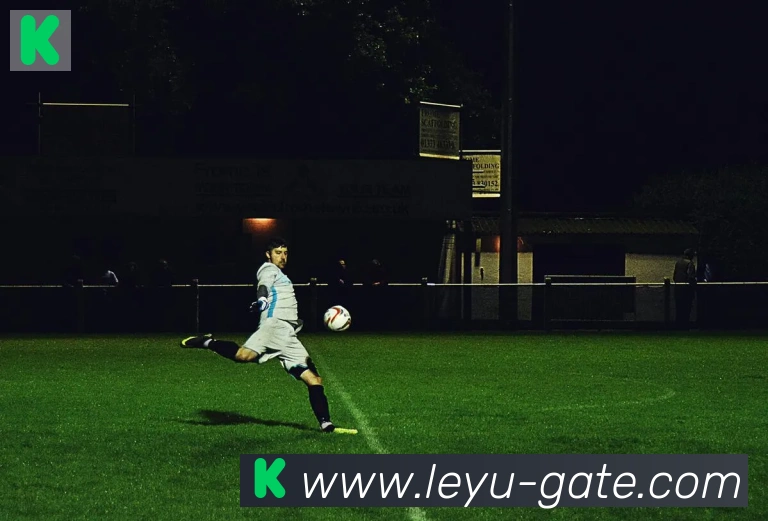 乐鱼leyu服务体系